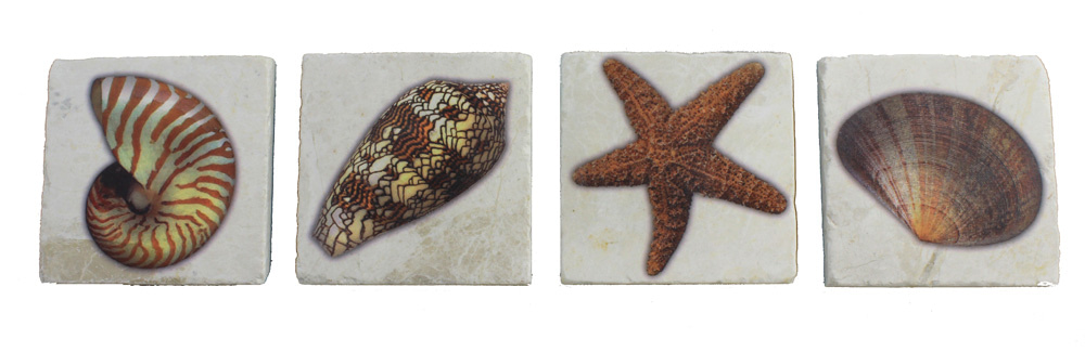 Set of 4 Sea Shell Coasters - Botticino Marble