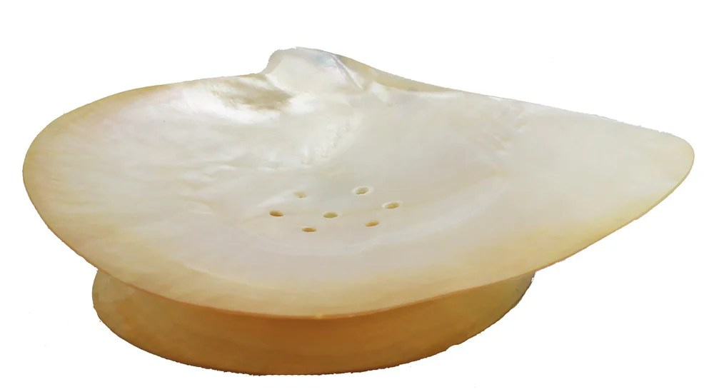 4.5"L Clam Shell Soap Dish