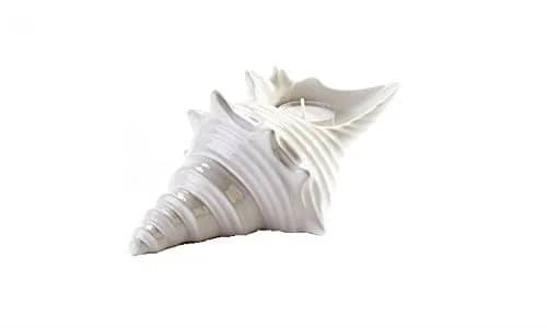 7" SPIKY Shell Candle Holder