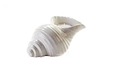 7" SMOOTH Conch Shell Candle Holder